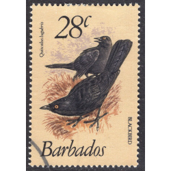 BARBADOS SCOTT 503
