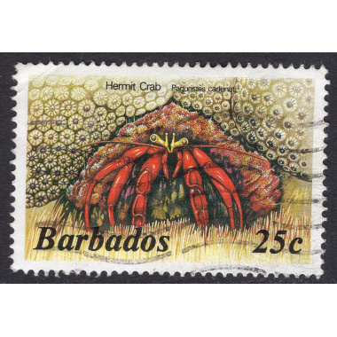 BARBADOS SCOTT 646