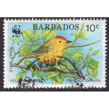 BARBADOS SCOTT 795