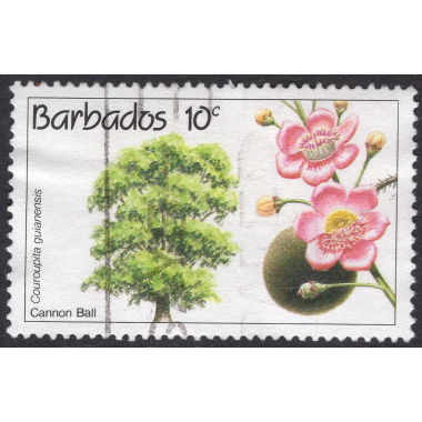 BARBADOS SCOTT 822
