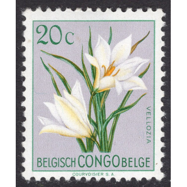 BELGIAN CONGO SCOTT 265