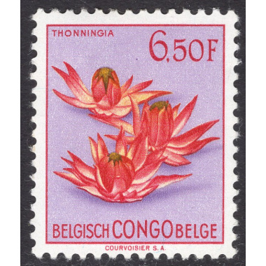 BELGIAN CONGO SCOTT 278