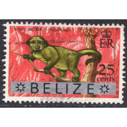 BELIZE SCOTT 320
