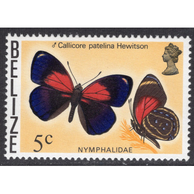 BELIZE SCOTT 350