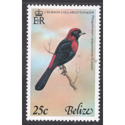 BELIZE SCOTT 399