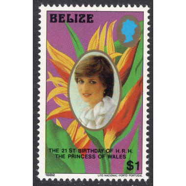 BELIZE SCOTT 622