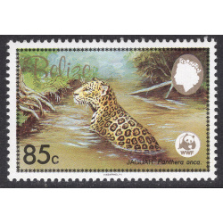 BELIZE SCOTT 691
