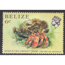 BELIZE SCOTT 704