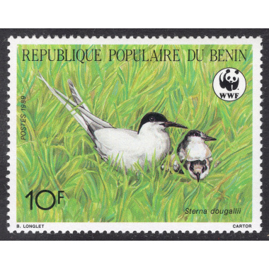 BENIN SCOTT 657