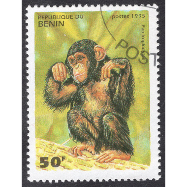 BENIN SCOTT 755