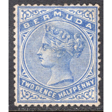BERMUDA SCOTT 22