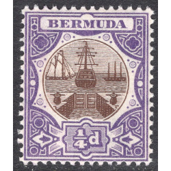 BERMUDA SCOTT 31