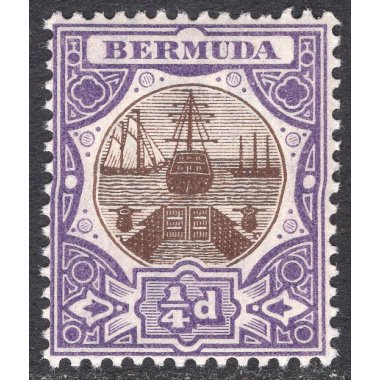 BERMUDA SCOTT 31