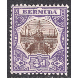 BERMUDA SCOTT 31