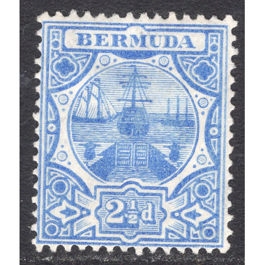 BERMUDA SCOTT 38