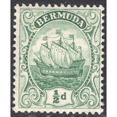 BERMUDA SCOTT 41