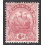 BERMUDA SCOTT 47