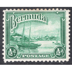 BERMUDA SCOTT 105