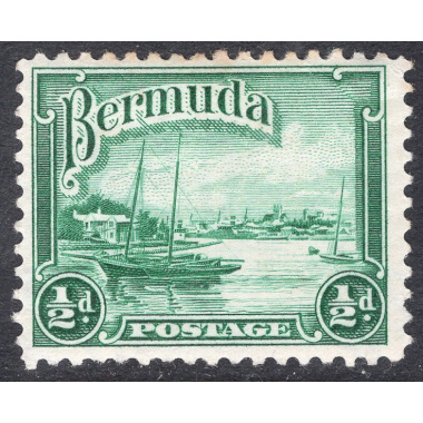 BERMUDA SCOTT 105