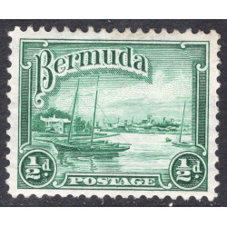 BERMUDA SCOTT 105