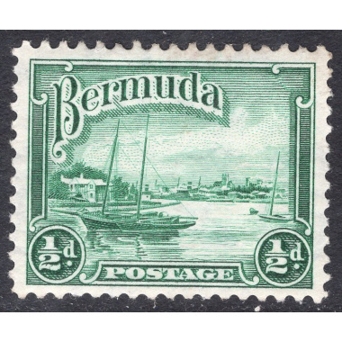 BERMUDA SCOTT 105