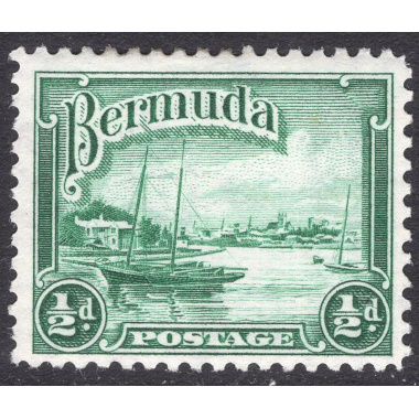 BERMUDA SCOTT 105