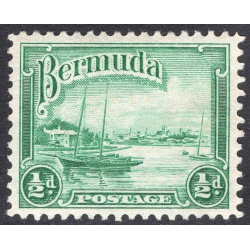 BERMUDA SCOTT 105
