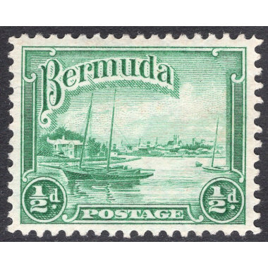 BERMUDA SCOTT 105