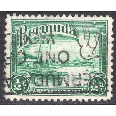 BERMUDA SCOTT 105