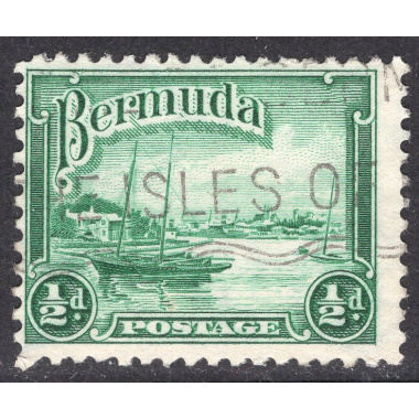 BERMUDA SCOTT 105