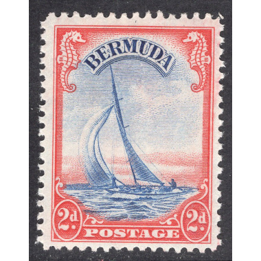 BERMUDA SCOTT 109A