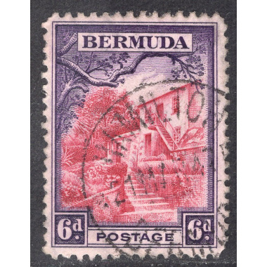 BERMUDA SCOTT 112