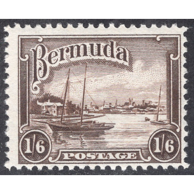 BERMUDA SCOTT 114