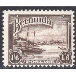 BERMUDA SCOTT 114