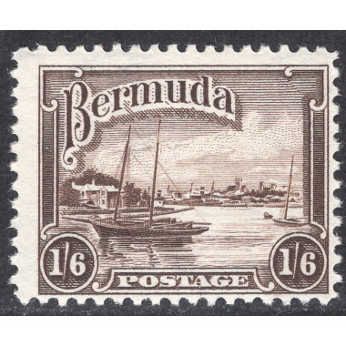 BERMUDA SCOTT 114
