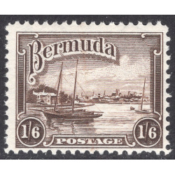 BERMUDA SCOTT 114