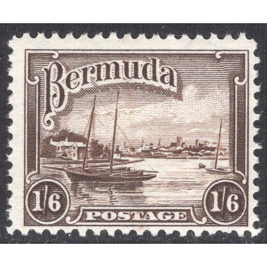 BERMUDA SCOTT 114