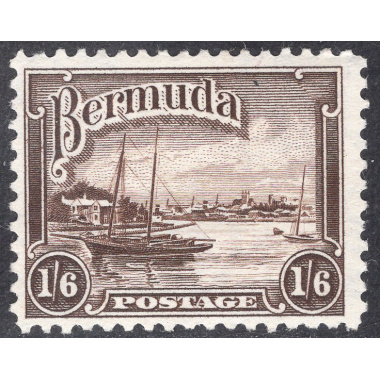 BERMUDA SCOTT 114