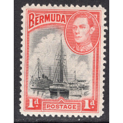 BERMUDA SCOTT 118