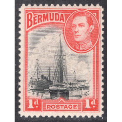 BERMUDA SCOTT 118