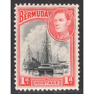 BERMUDA SCOTT 118