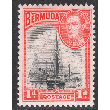 BERMUDA SCOTT 118