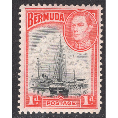 BERMUDA SCOTT 118