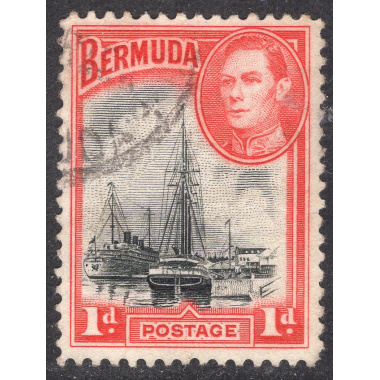 BERMUDA SCOTT 118