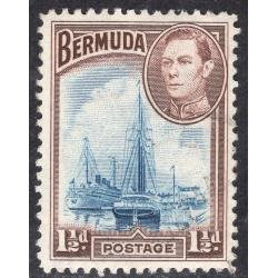 BERMUDA SCOTT 119A