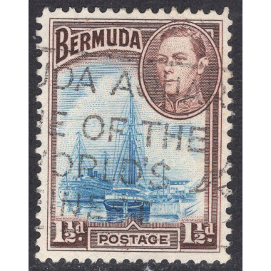 BERMUDA SCOTT 119A