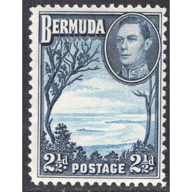 BERMUDA SCOTT 120