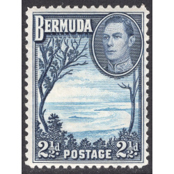 BERMUDA SCOTT 120
