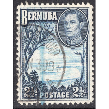 BERMUDA SCOTT 120