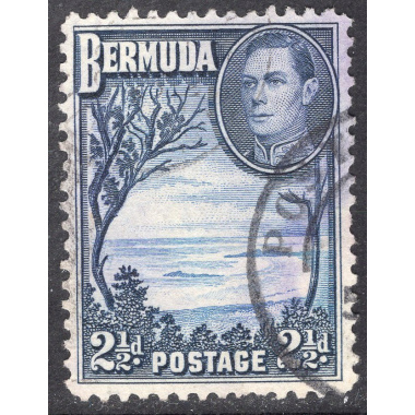 BERMUDA SCOTT 120